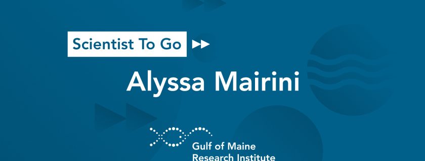 GMRI’s Scientist To Go with Alyssa Mairini