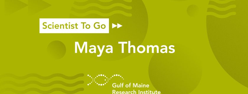 GMRI’s Scientist To Go with Maya Thomas